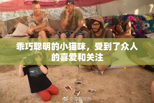 乖巧聪明的小猫咪，受到了众人的喜爱和关注