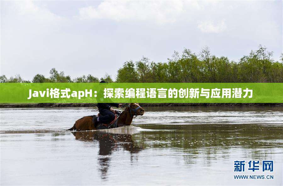 Javi格式apH：探索编程语言的创新与应用潜力