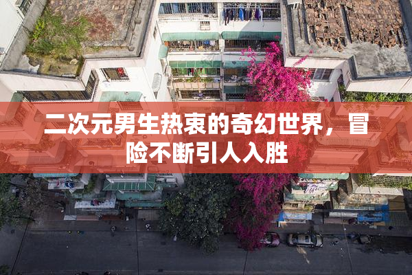 二次元男生热衷的奇幻世界，冒险不断引人入胜