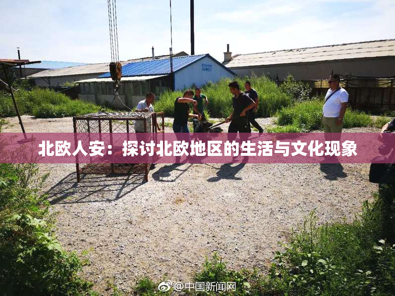 北欧人安：探讨北欧地区的生活与文化现象