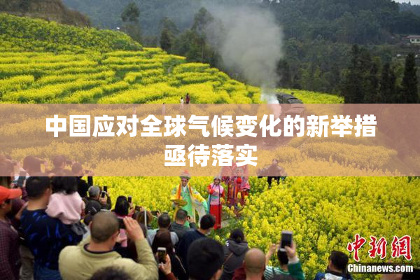 中国应对全球气候变化的新举措亟待落实