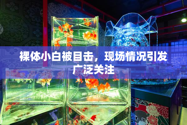 裸体小白被目击，现场情况引发广泛关注