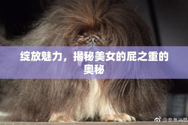 绽放魅力，揭秘美女的屁之重的奥秘