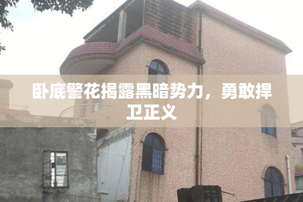 卧底警花揭露黑暗势力，勇敢捍卫正义
