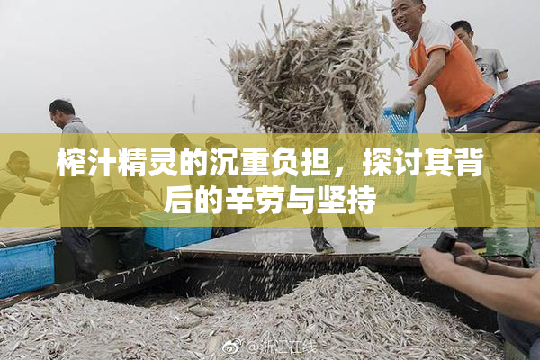 榨汁精灵的沉重负担，探讨其背后的辛劳与坚持