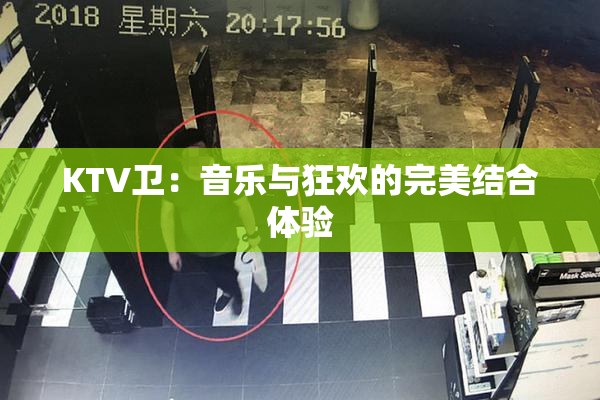 KTV卫：音乐与狂欢的完美结合体验