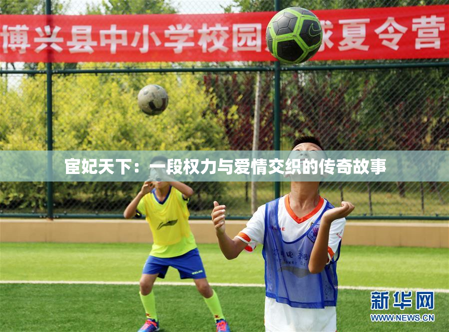 宦妃天下：一段权力与爱情交织的传奇故事