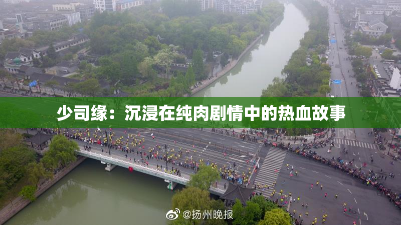 少司缘：沉浸在纯肉剧情中的热血故事