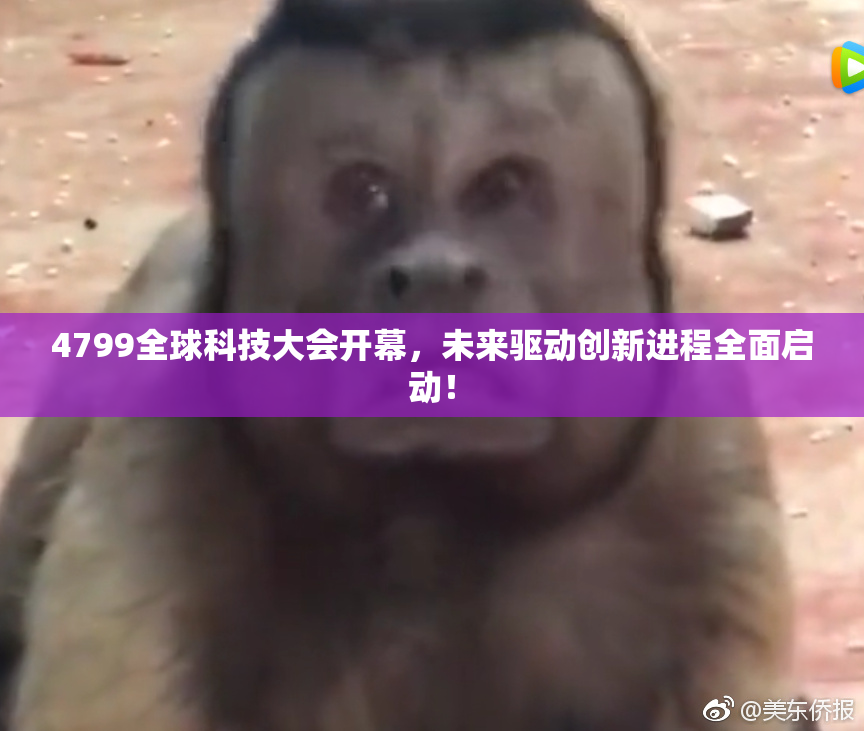 4799全球科技大会开幕，未来驱动创新进程全面启动！
