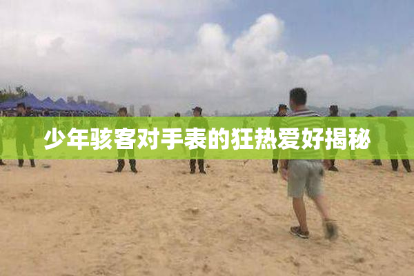 少年骇客对手表的狂热爱好揭秘