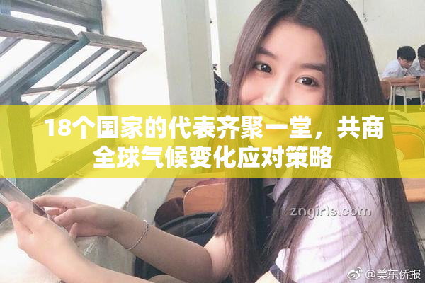 18个国家的代表齐聚一堂，共商全球气候变化应对策略