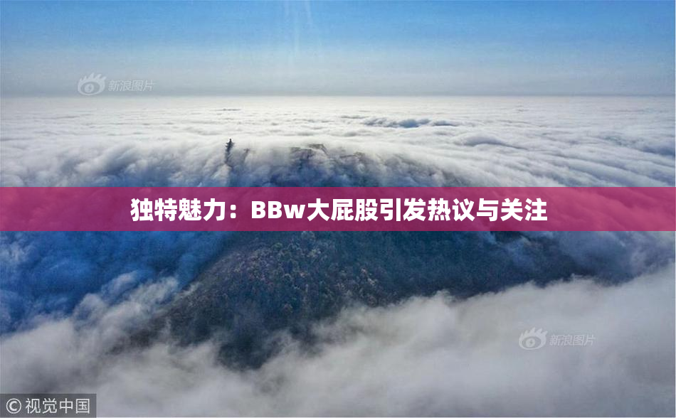 独特魅力：BBw大屁股引发热议与关注