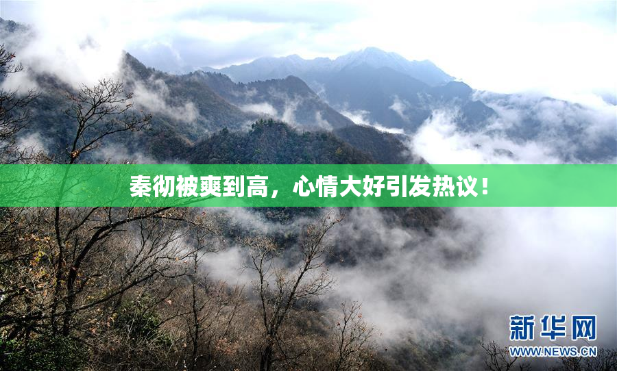 秦彻被爽到高，心情大好引发热议！