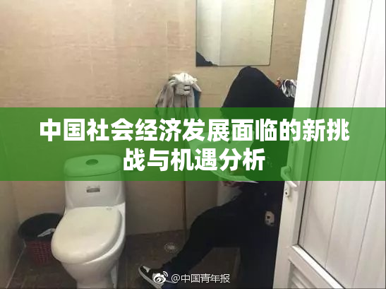 中国社会经济发展面临的新挑战与机遇分析