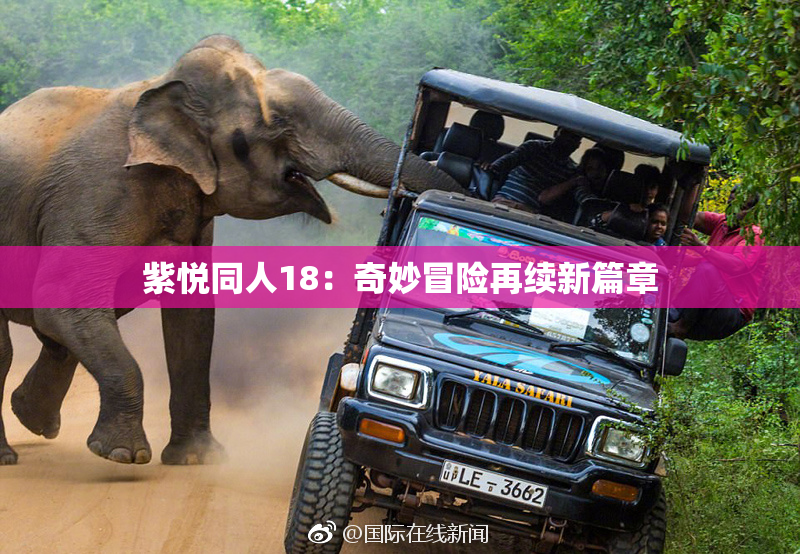 紫悦同人18：奇妙冒险再续新篇章