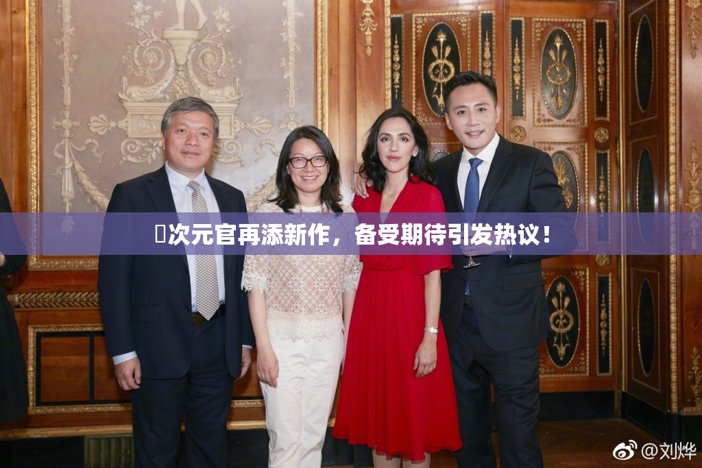 囧次元官再添新作，备受期待引发热议！