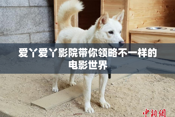爱丫爱丫影院带你领略不一样的电影世界