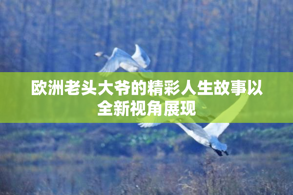 欧洲老头大爷的精彩人生故事以全新视角展现