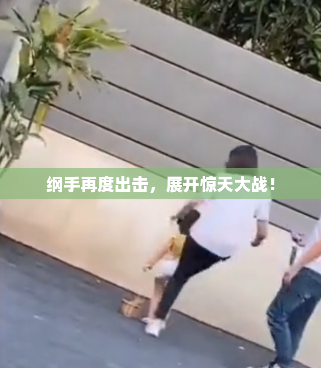 纲手再度出击，展开惊天大战！