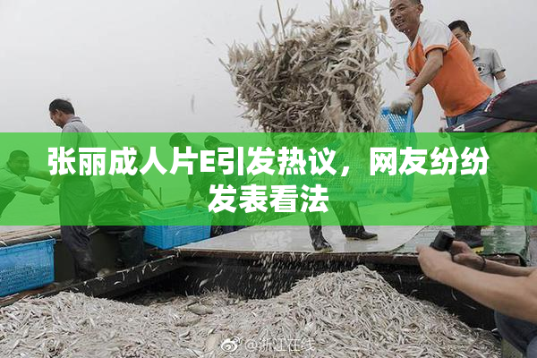 张丽成人片E引发热议，网友纷纷发表看法