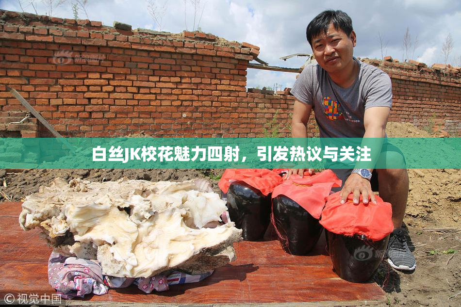 白丝JK校花魅力四射，引发热议与关注