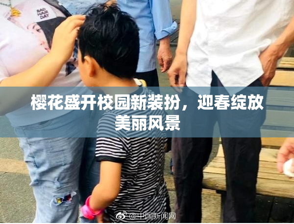 樱花盛开校园新装扮，迎春绽放美丽风景