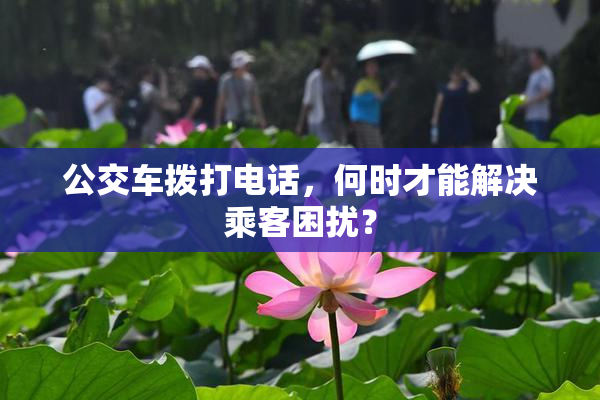 公交车拨打电话，何时才能解决乘客困扰？
