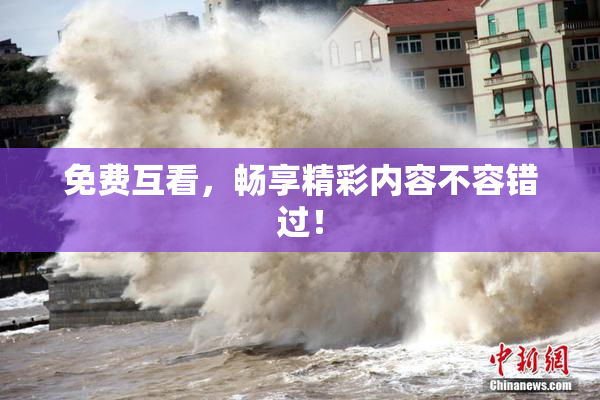 免费互看，畅享精彩内容不容错过！