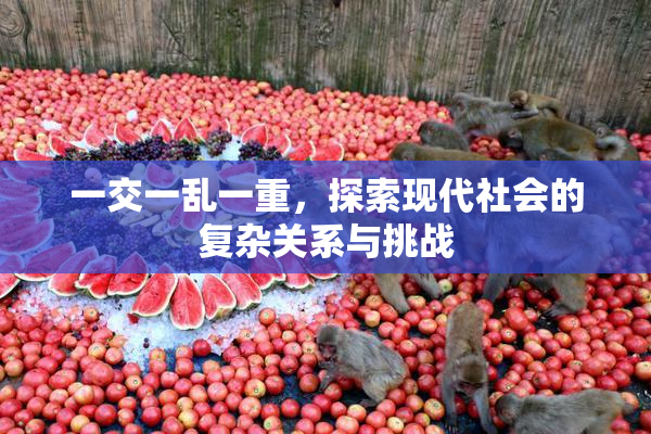 一交一乱一重，探索现代社会的复杂关系与挑战
