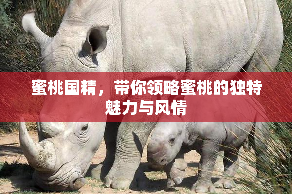 蜜桃国精，带你领略蜜桃的独特魅力与风情
