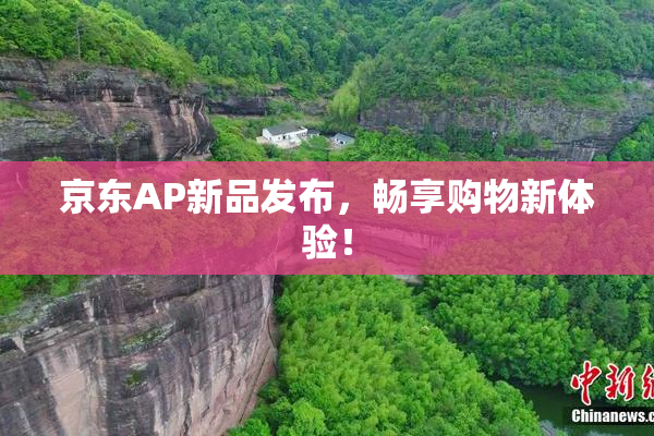 京东AP新品发布，畅享购物新体验！