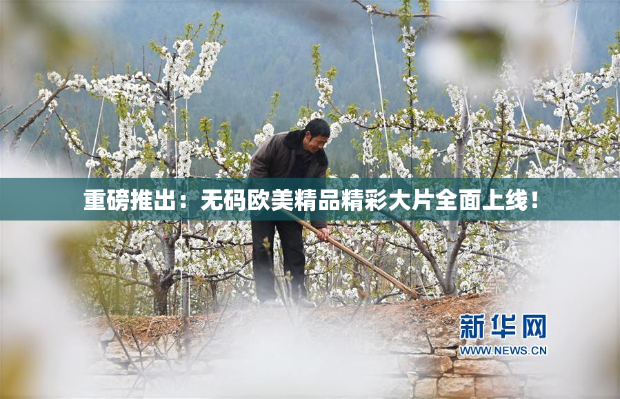 重磅推出：无码欧美精品精彩大片全面上线！