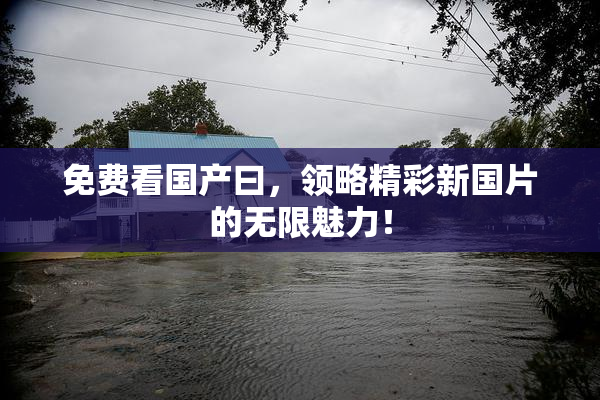 免费看国产曰，领略精彩新国片的无限魅力！