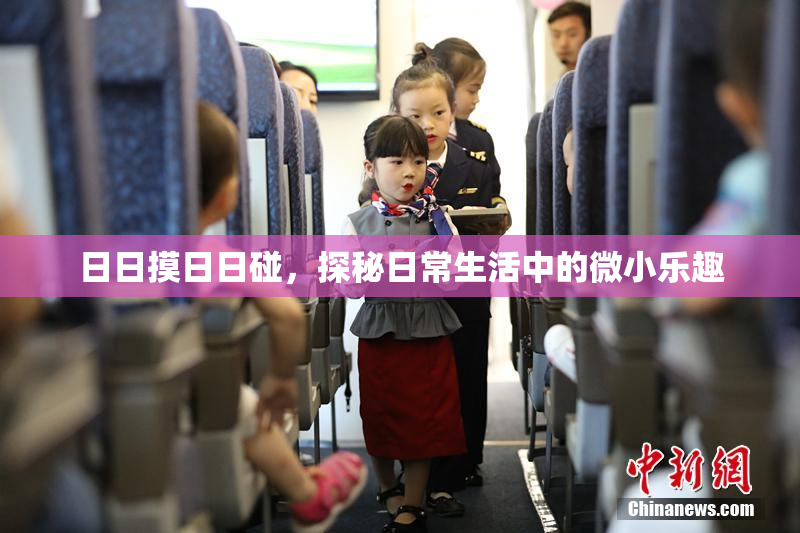 日日摸日日碰，探秘日常生活中的微小乐趣