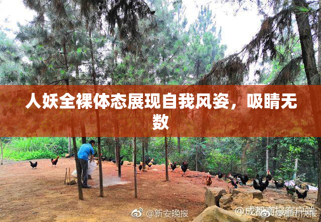 人妖全裸体态展现自我风姿，吸睛无数
