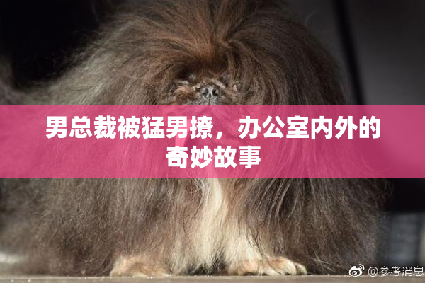 男总裁被猛男撩，办公室内外的奇妙故事