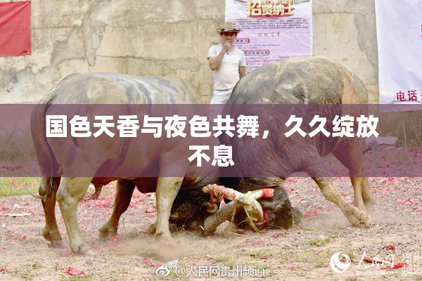 国色天香与夜色共舞，久久绽放不息