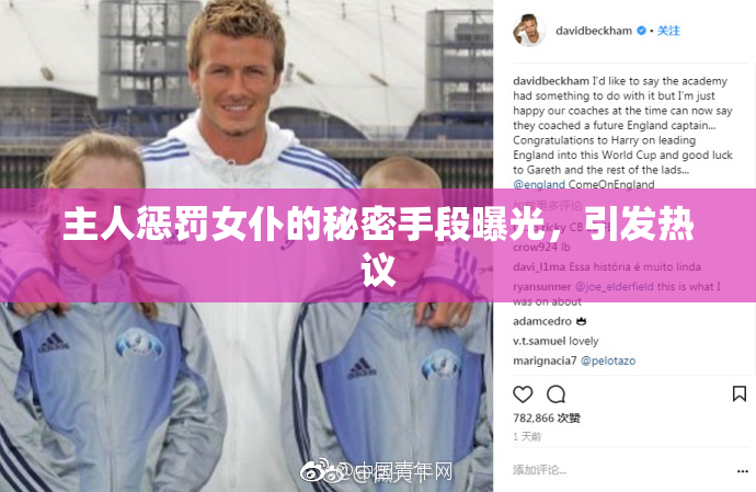 主人惩罚女仆的秘密手段曝光，引发热议