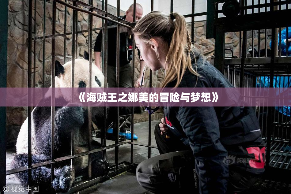《海贼王之娜美的冒险与梦想》