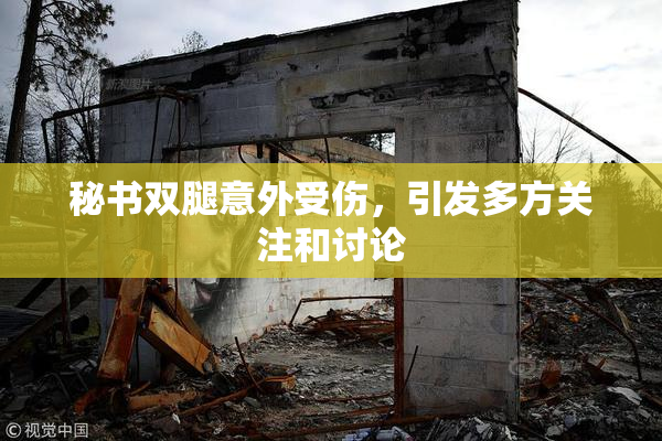 秘书双腿意外受伤，引发多方关注和讨论