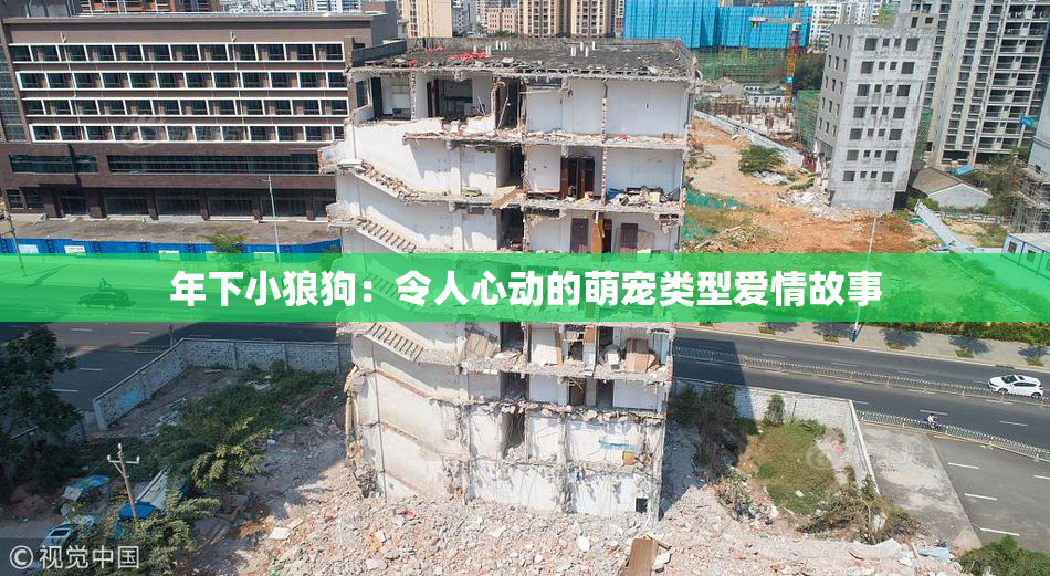 年下小狼狗：令人心动的萌宠类型爱情故事