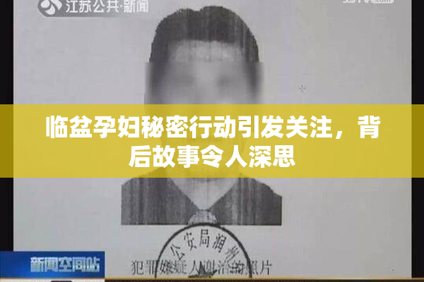 临盆孕妇秘密行动引发关注，背后故事令人深思