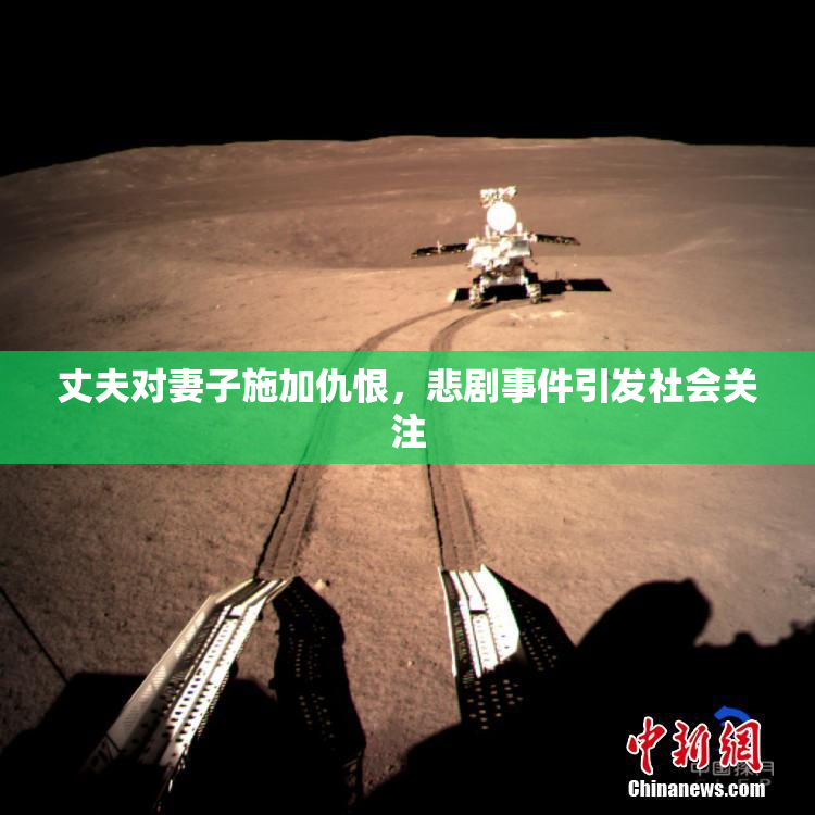 丈夫对妻子施加仇恨，悲剧事件引发社会关注