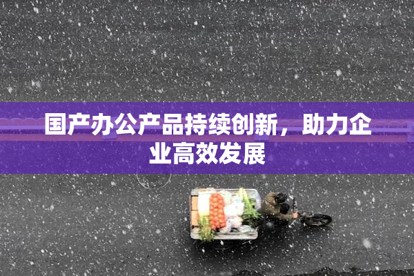 国产办公产品持续创新，助力企业高效发展