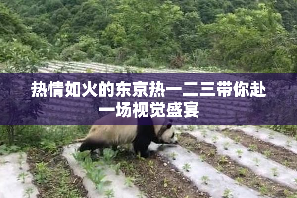 热情如火的东京热一二三带你赴一场视觉盛宴