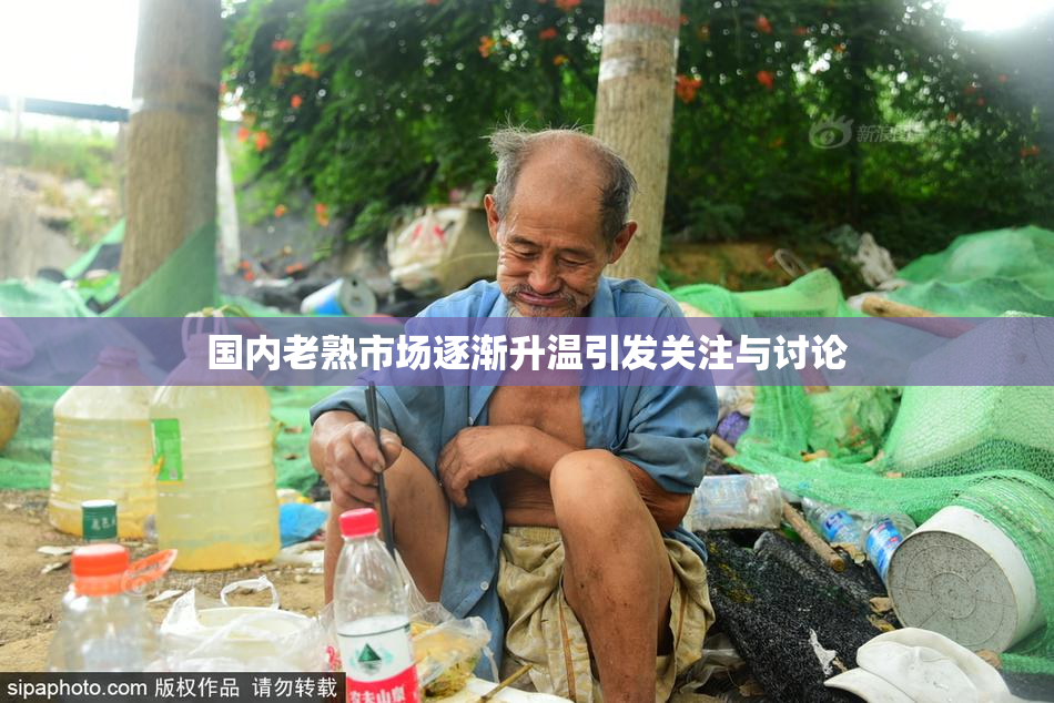 国内老熟市场逐渐升温引发关注与讨论