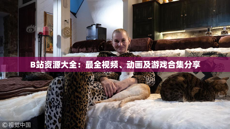 B站资源大全：最全视频、动画及游戏合集分享
