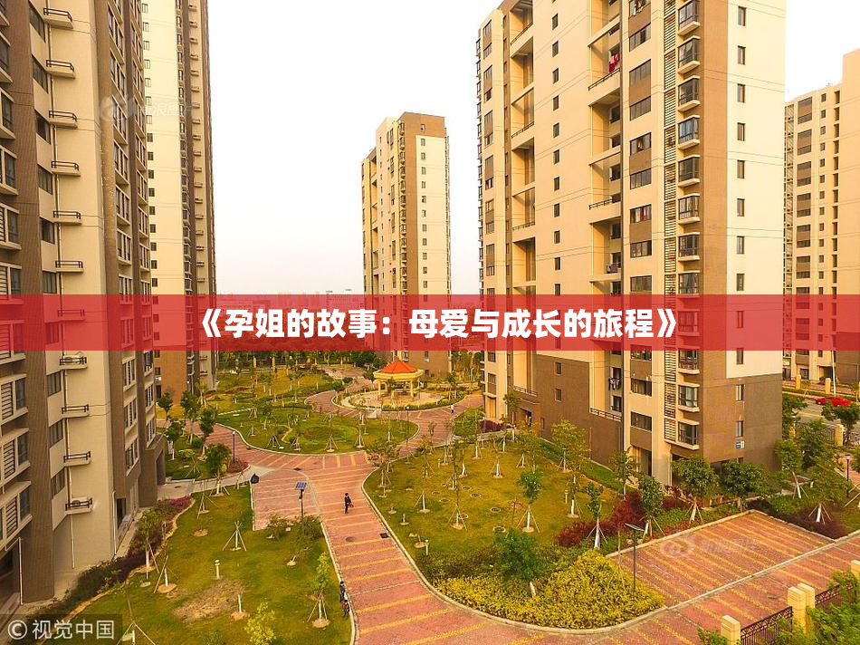 《孕姐的故事：母爱与成长的旅程》