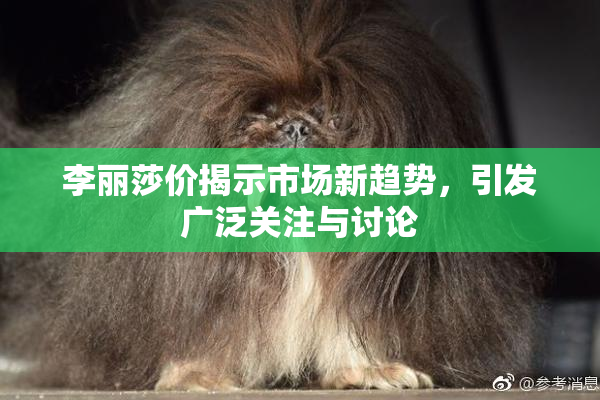 李丽莎价揭示市场新趋势，引发广泛关注与讨论