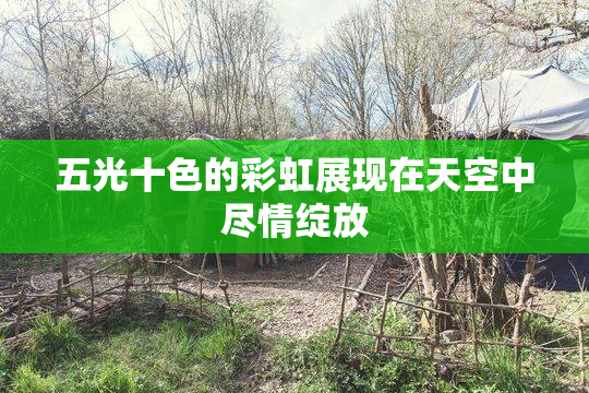 五光十色的彩虹展现在天空中尽情绽放